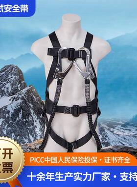 黑色全身式安全带 高空作业速插式安全带可拆卸款便携式安全带