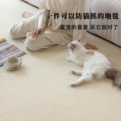 仿剑麻地毯耐磨仿猫抓免洗奶油风客厅地垫摄影棚卧室床边飘窗拍照