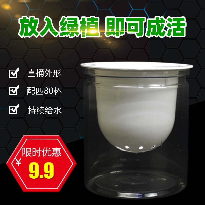 叶联美水培透明塑料懒人花盆定植蓝三孔虎皮兰发财树富贵观音竹盆