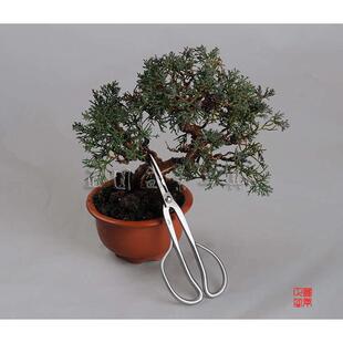三合一盆景剪RS-21叶芽剪盆景剪铝线正圆牙剪工具龙枝