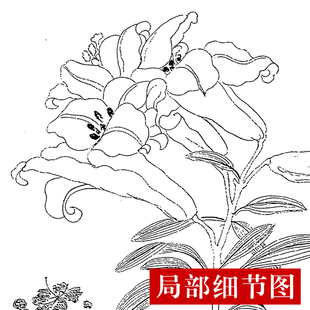 CQ37工笔画白描打印底稿 恽寿平-百花图卷(全卷)临摹练习线描