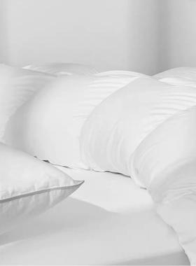 厂家直销白羽人绒被95鹅绒被子55171冬被加厚羽保暖被芯双冬季绒