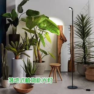 专业植物补光灯全光谱绿植生长灯室内落地仿太阳多肉养花卉光照灯
