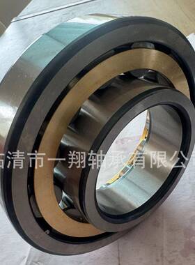 类二U短圆柱中大型EUQ轴承二类非标轴承二类整体偏减速机轴承N3心