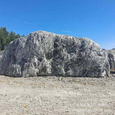 大雪型景观石户外浪石庭20240313院景立石天然供原石泰造山石厂直