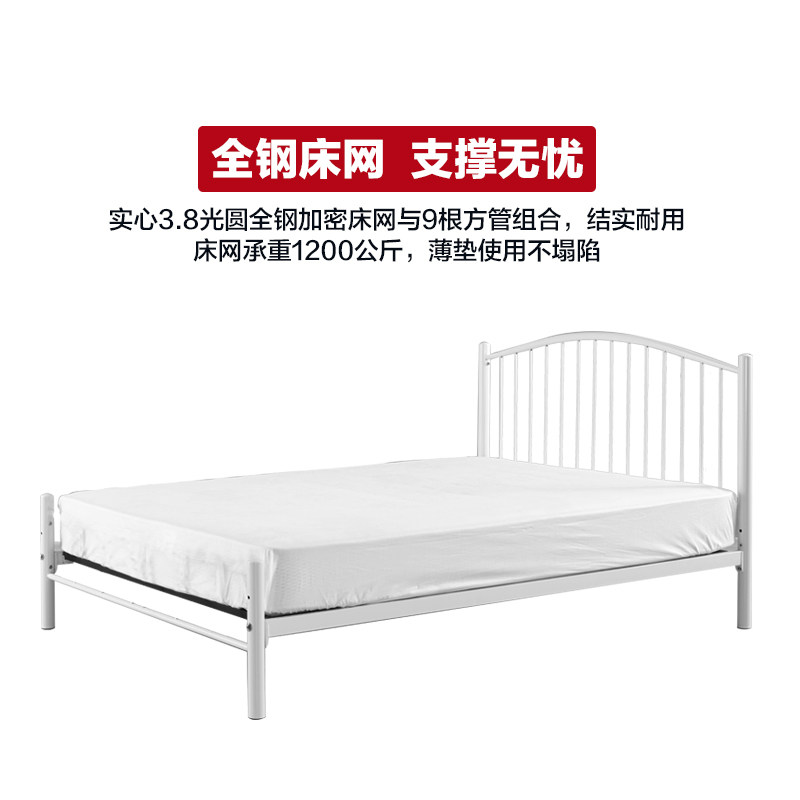 简约铁艺床黑色北欧双人铁艺公主欧式网红铁床架钢架床1.5米1.8米