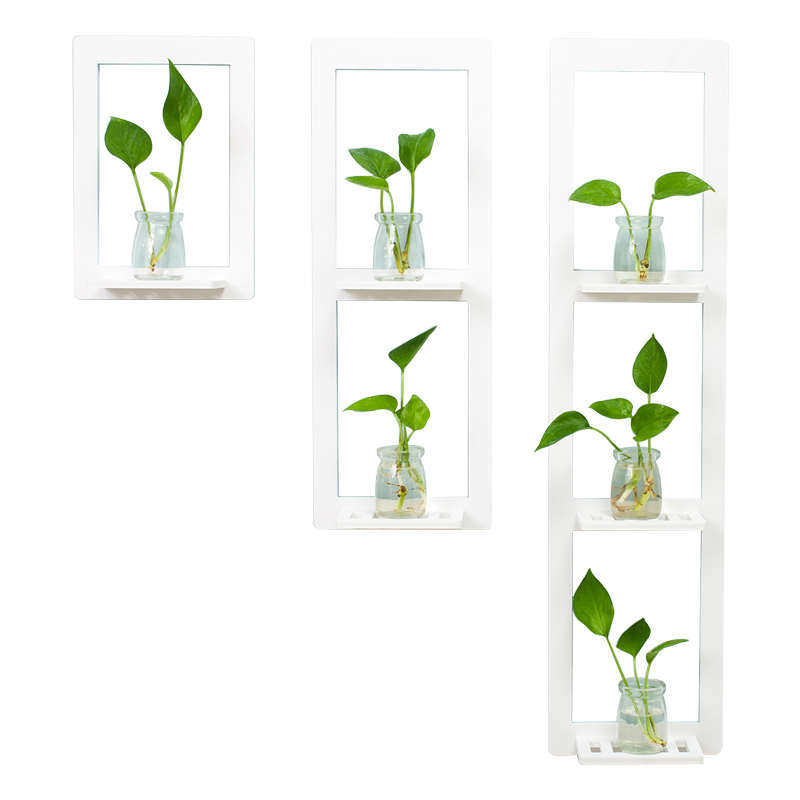 墙面装饰水培花瓶壁挂花艺房间萝植物挂件家居墙壁饰创意墙上挂绿