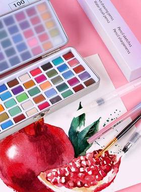 乔尔初乔内固体水彩颜料生珠光100色铁盒学者美术手绘专透业EAL明