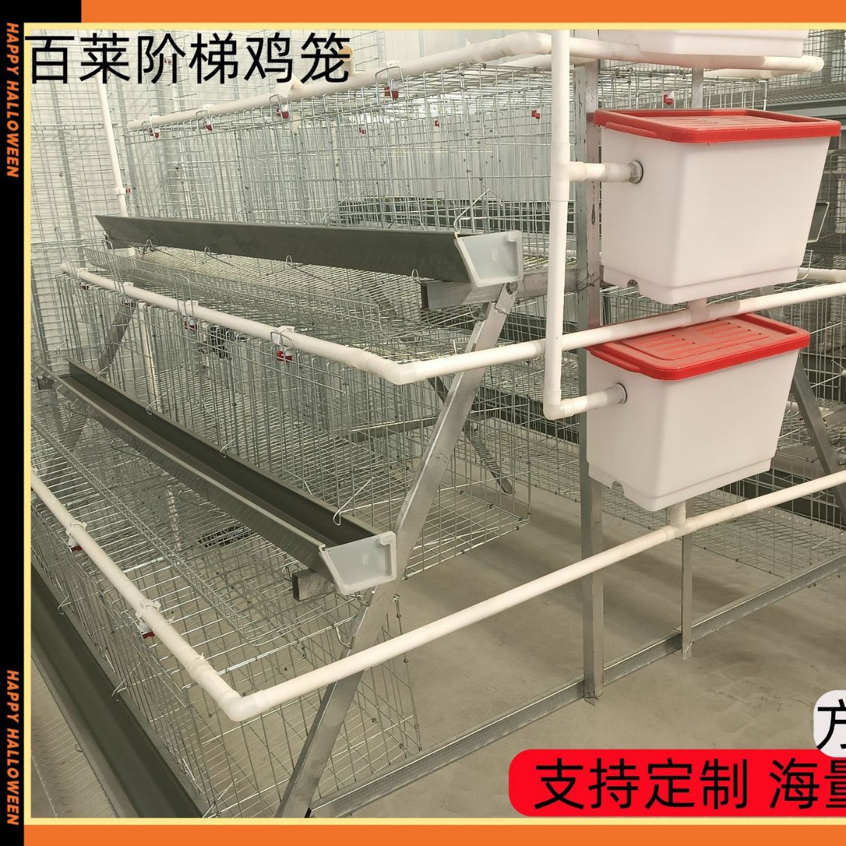 阶梯蛋鸡笼 镀锌材质耐用款 节省空间 50% 易清洁 蛋鸡高产养殖必