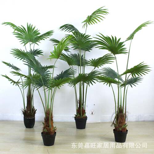 仿真植物盆栽蒲葵假绿植圆扇葵盆景室内外落地装饰唐棕葵真