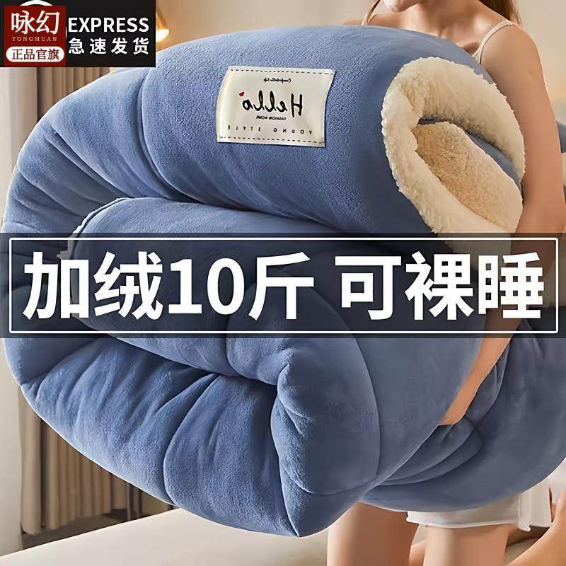羊羔绒被子2024新款冬季棉被被芯冬天宿舍单人秋冬被加厚保暖10斤,床上用品,休闲毯/毛毯/绒毯,淘宝优惠券,粉丝福利购,淘宝优惠卷