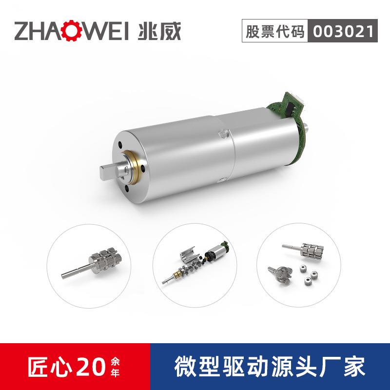 微型减速电机 咖啡冲泡器D型轴2级齿轮箱大扭矩微型直流无刷电机