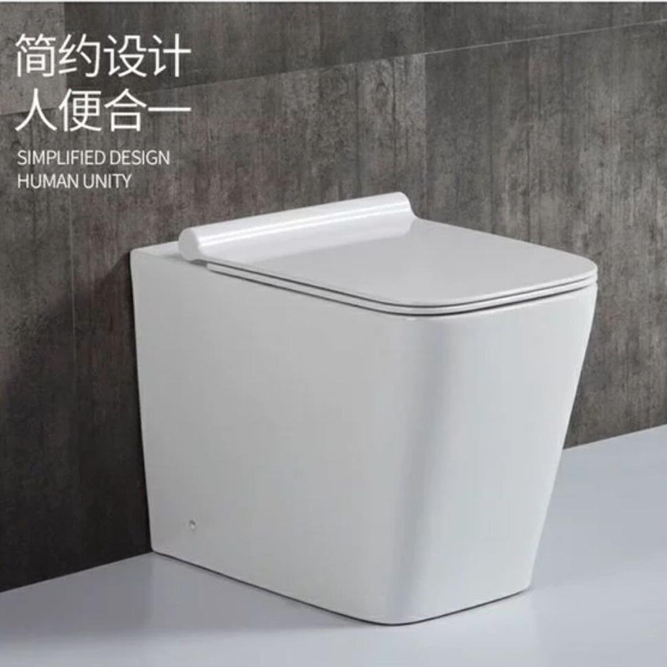 落地挂便器方形座便器落地坐便配入墙水箱03地排或墙排