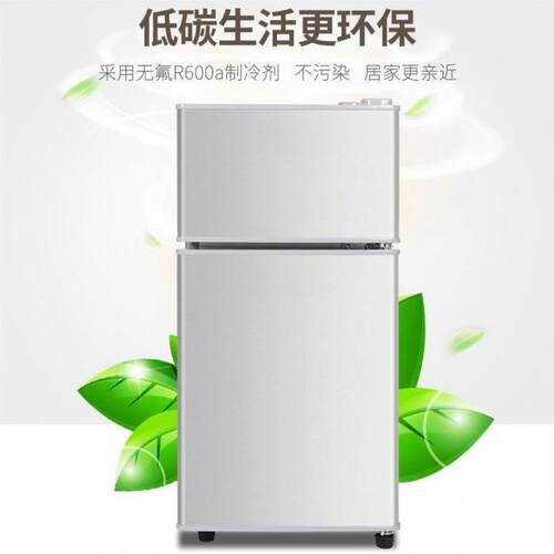 小冰箱迷你家用冷冻冷藏小型能效电冰箱租房宿舍二人用
