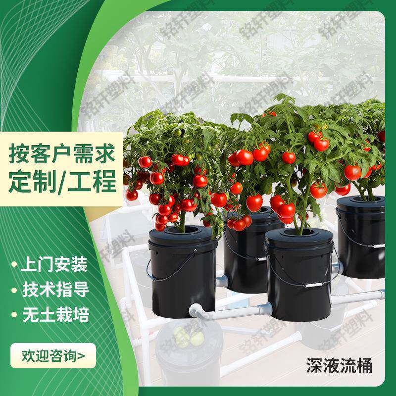 深液流桶水培系统大棚种植水培养植青菜瓜果无土栽培设备种植桶