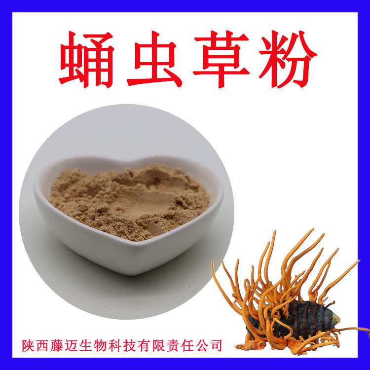 蛹虫草粉支持检测子实体蛹虫草粉原粉现货蛹虫草花粉