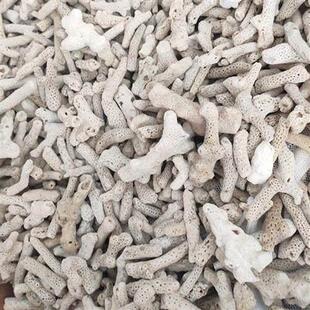 送网袋珊瑚砂珊瑚石活性碳珊瑚骨水质PH值鱼缸造景底沙过滤材料