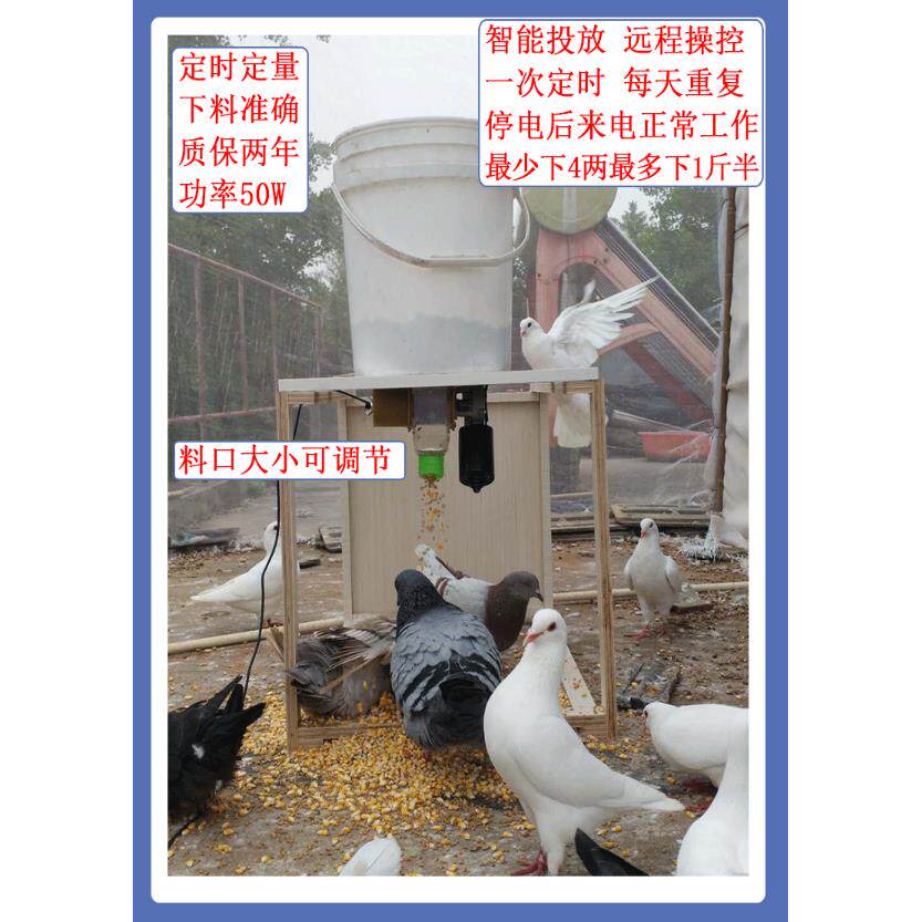 信鸽观赏鸽养鸡鸭鹅全自动喂食器散养食槽喂料机盒定时远程喂料盒