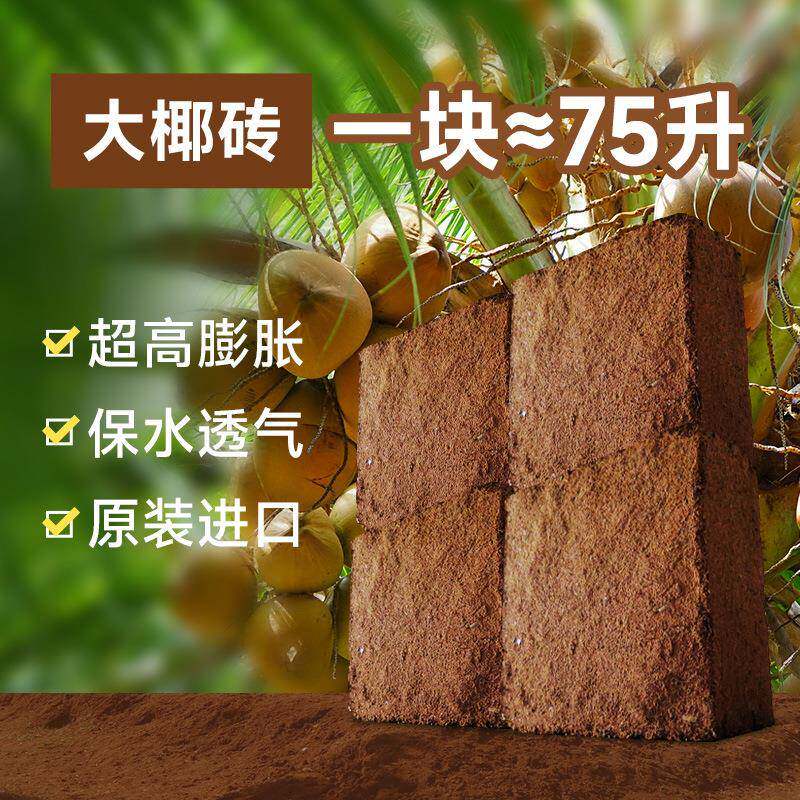 栽培基质泡发低盐高发泡量园艺水培种植无土栽培育苗用压缩大椰砖