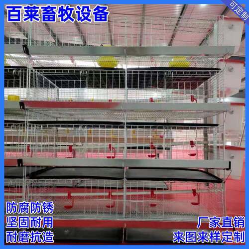 小鸡笼镀锌丝小鸡笼，加密加粗，防锈耐用，为小鸡提供安全防护