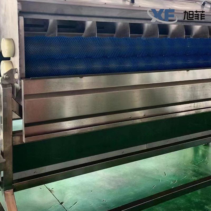 大型商用连续式毛辊清洗去皮机自动脱土豆芋头皮的机器设备