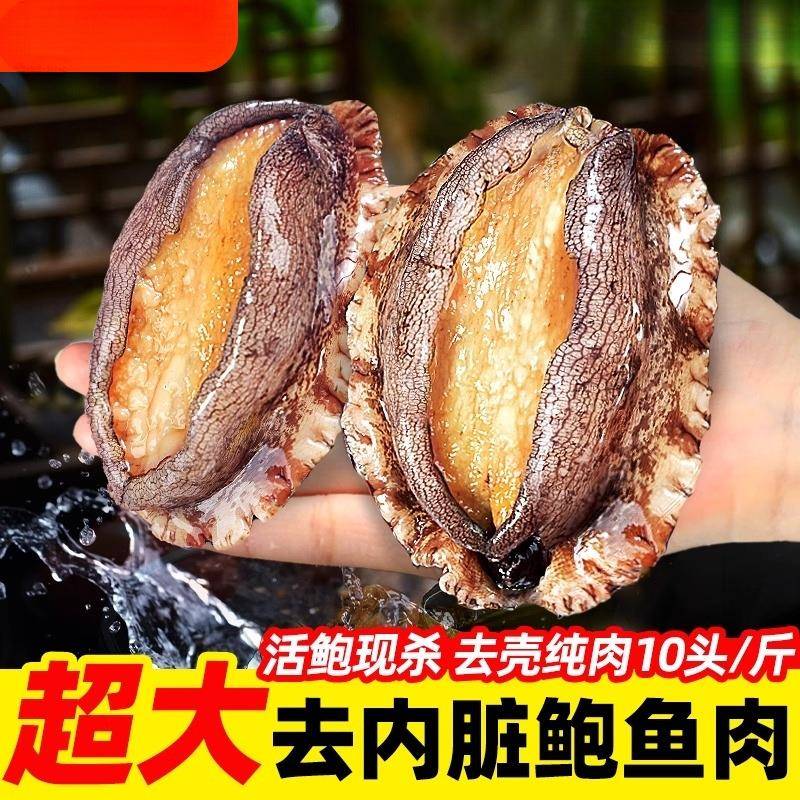 鲍鱼肉鲜活冷冻新鲜特大号去壳冰鲜速冻小鲍鱼肉海鲜火锅食材商用