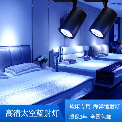 led吸顶射灯光软床专用灯展厅海洋主题酒店鱼缸高清蓝光30W轨道灯