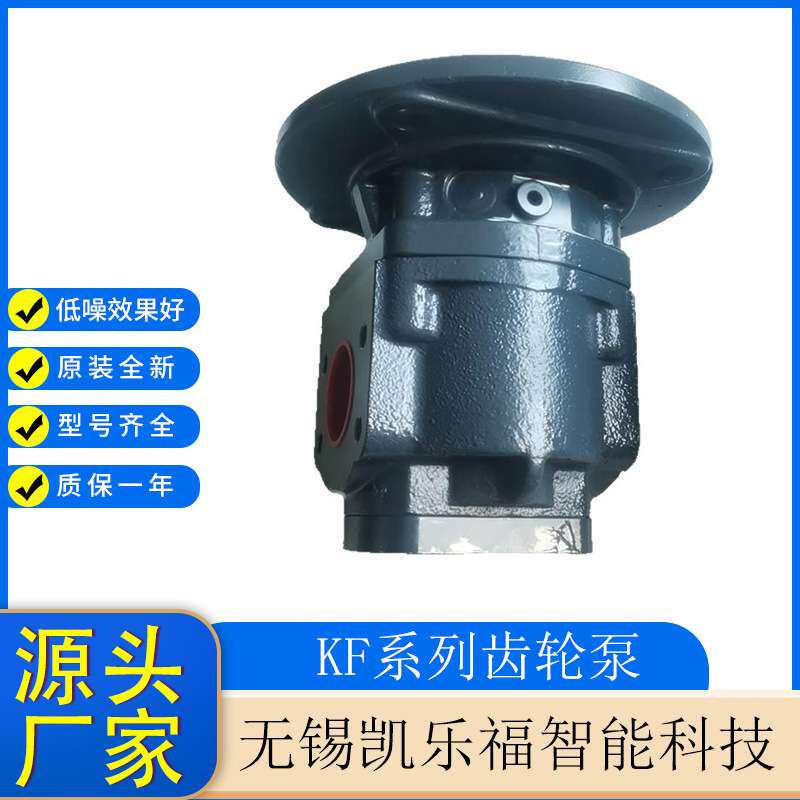 KRACHT克拉克齿轮泵KF12BF2 双向油泵 减速机油泵