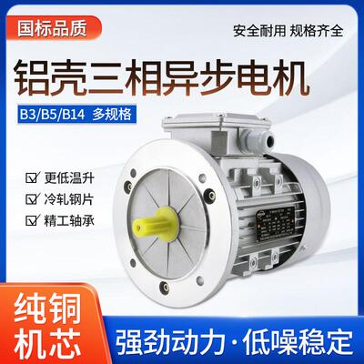 YS8014 24 34铝壳三相异步电动机/铝壳电机550W750W1100W电压380V