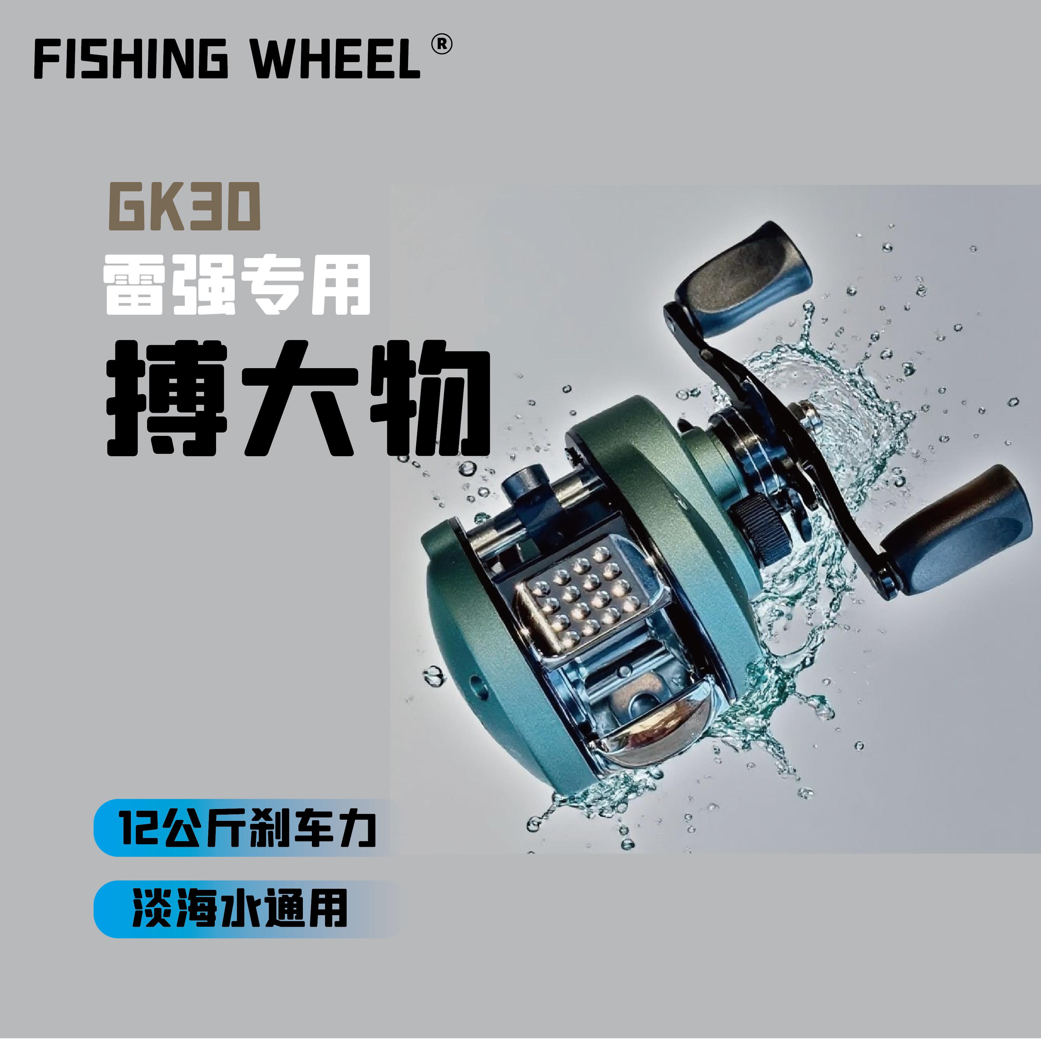 FSWL雷强轮全金属鼓轮淡海两用远投磁力防炸线微物大物鱼线轮筏钓
