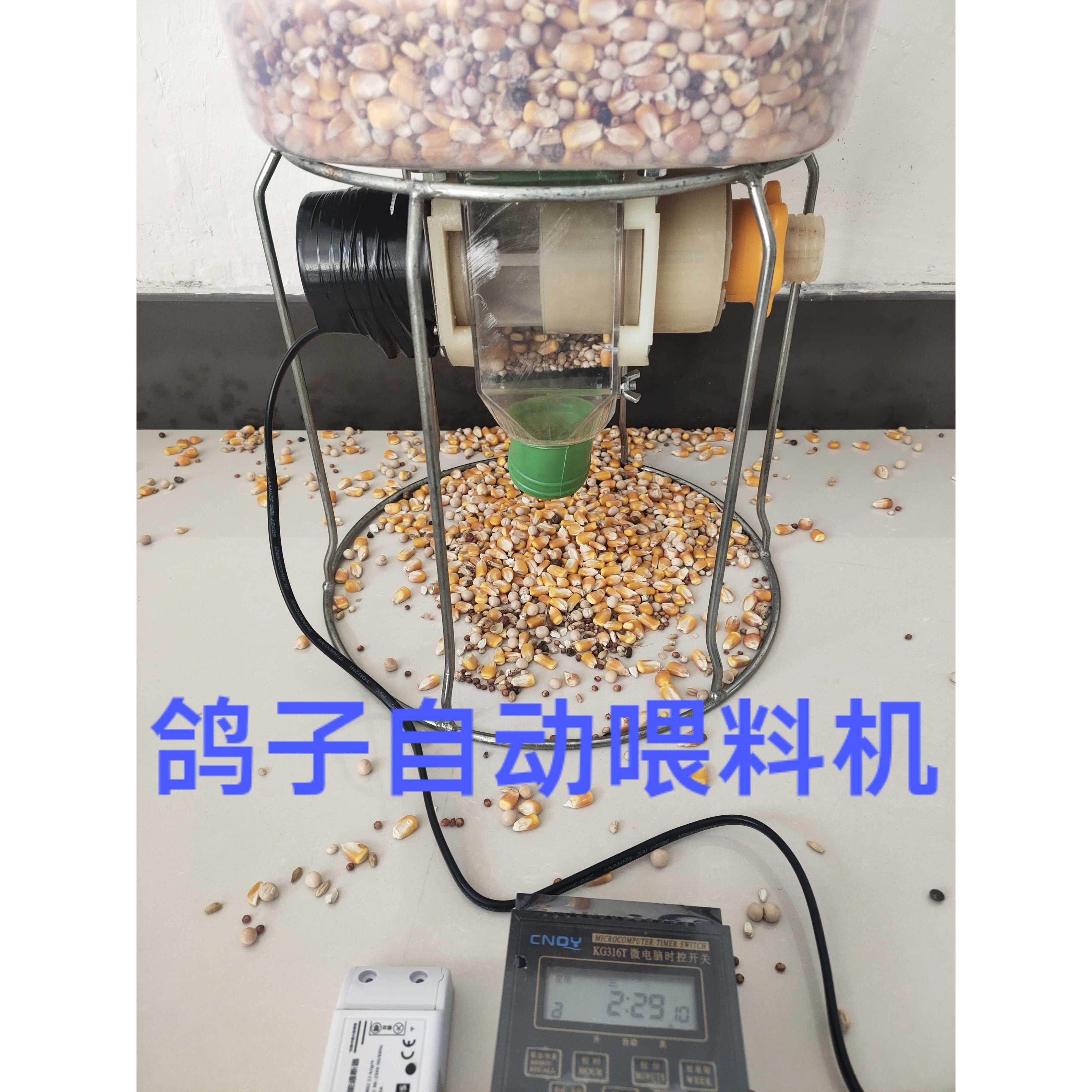信鸽投料机远程定时定量养鸡猪全自动喂 食器鸭鹅投料机投喂料散