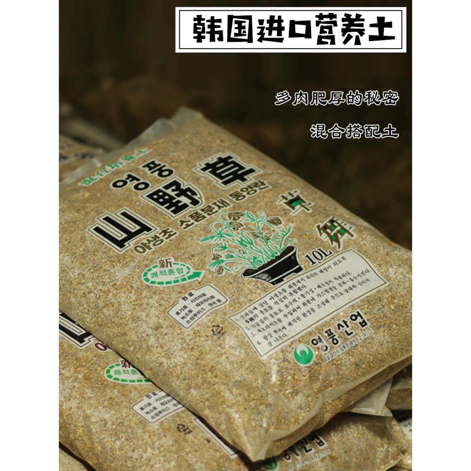 汇峰多肉 韩国进口山野草秘方土配土专用土 多肉专用颗粒营养土