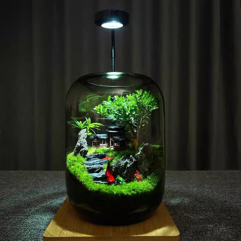 彩云间创意办公室桌面苔藓微景观盆景生态瓶盆栽桌面玻璃小鱼缸