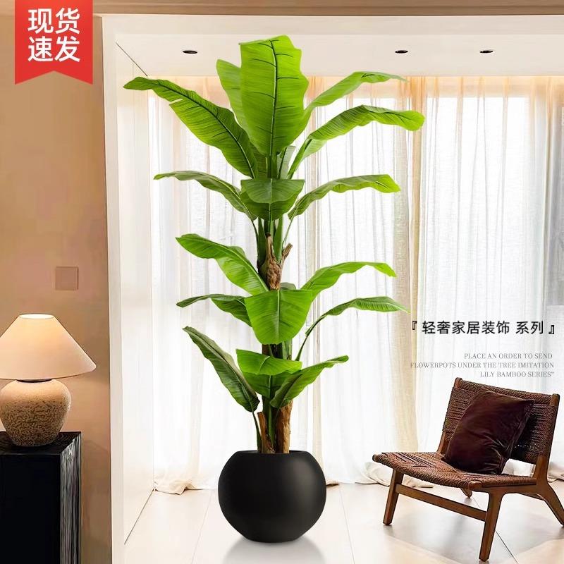 仿真大叶芭蕉树香蕉树热带景观植物落地绿植假树室内客厅摆件大型