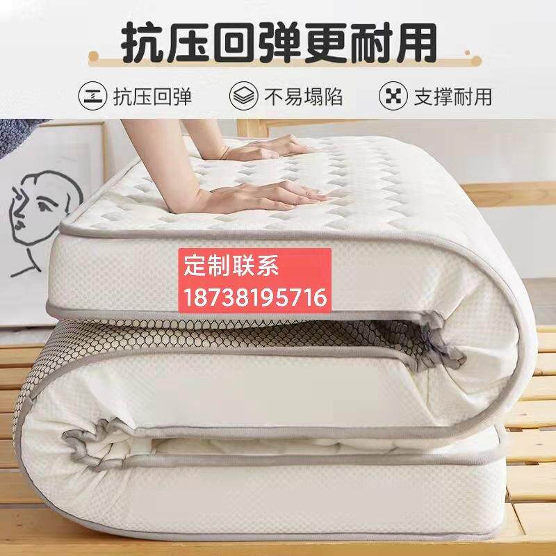 酒店海绵床垫 席梦思乳胶床垫 宿舍床垫 3E椰棕床垫 弹簧床垫