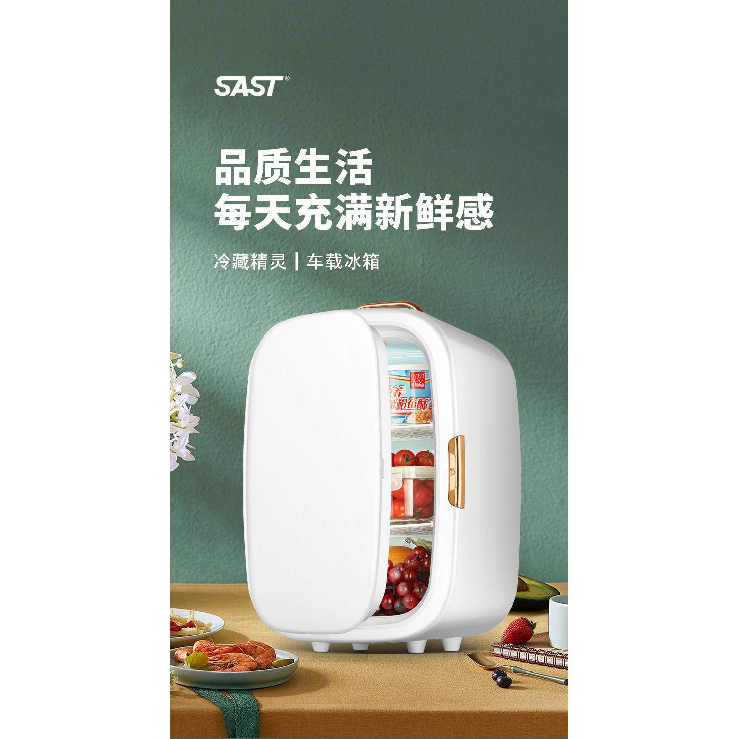 20L车载迷你小型冰箱车家俩用母乳出租房学生寝室宿舍办公