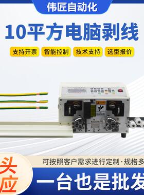 10平方电脑剥线机 WJ-SX10P皮带轮加提轮同轴电缆刷线机刷线机