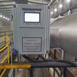 氧化锆氧量分析仪XHZO-5/L0氧化锆探头