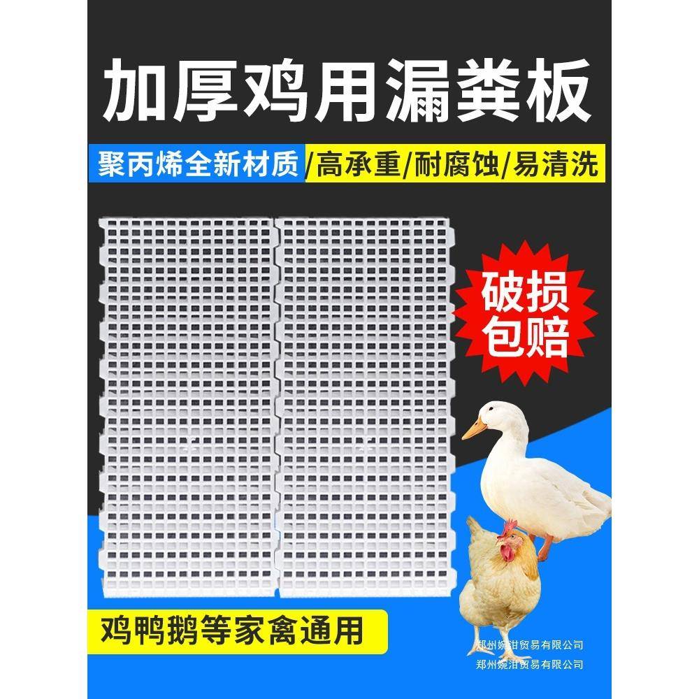 漏粪板鸡用鸡笼鸡粪鸽舍塑料漏粪板养小鸡鸭鹅漏粪网养殖专用设备图片