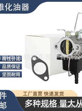 化油器For Tecumseh 640221 OV691EA TVT691-6008 600804C 发动机