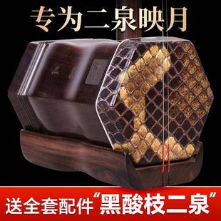 专业二泉二胡阿诺古夷苏木二泉琴黑酸枝木演奏二胡拉二泉映月胡琴