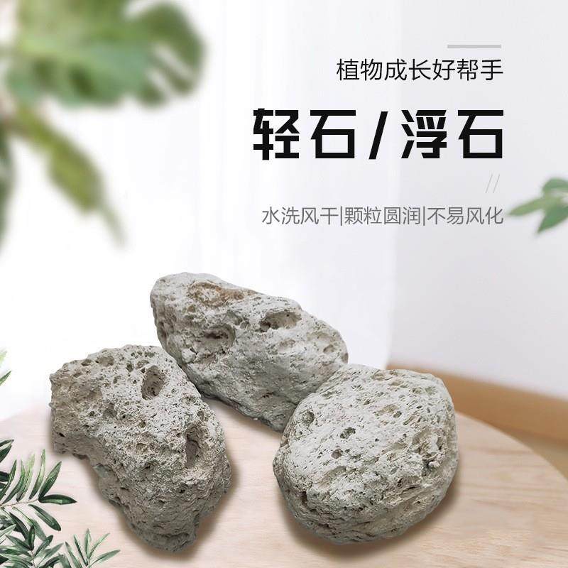 现货供应造景多孔浮石基质栽培园艺透气铺底轻石水过滤净化用轻石,鲜花速递/花卉仿真/绿植园艺,割草机/草坪机,淘宝优惠券,粉丝福利购,淘宝优惠卷