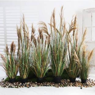 芦苇绿植落地盆栽仿生天然干花草丛造景植物室内店铺装饰摆件