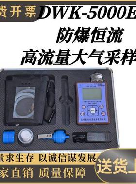 DWK-5000E 防爆恒流高流量大气采样器职业卫生仪器 采样仪器