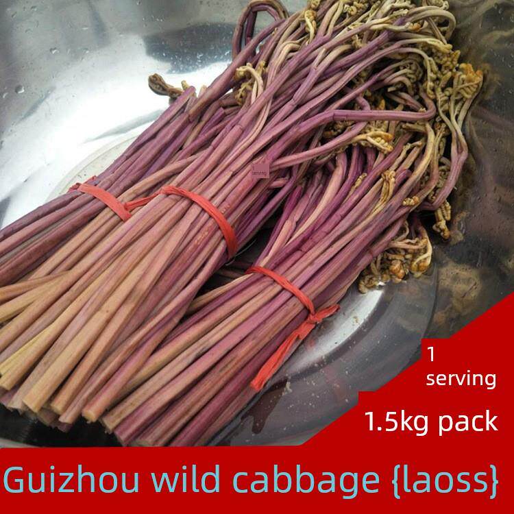 贵州特产 也生蕨苔新鲜蕨菜清水农家掩菜龙爪菜凉拌炒菜1500g包邮