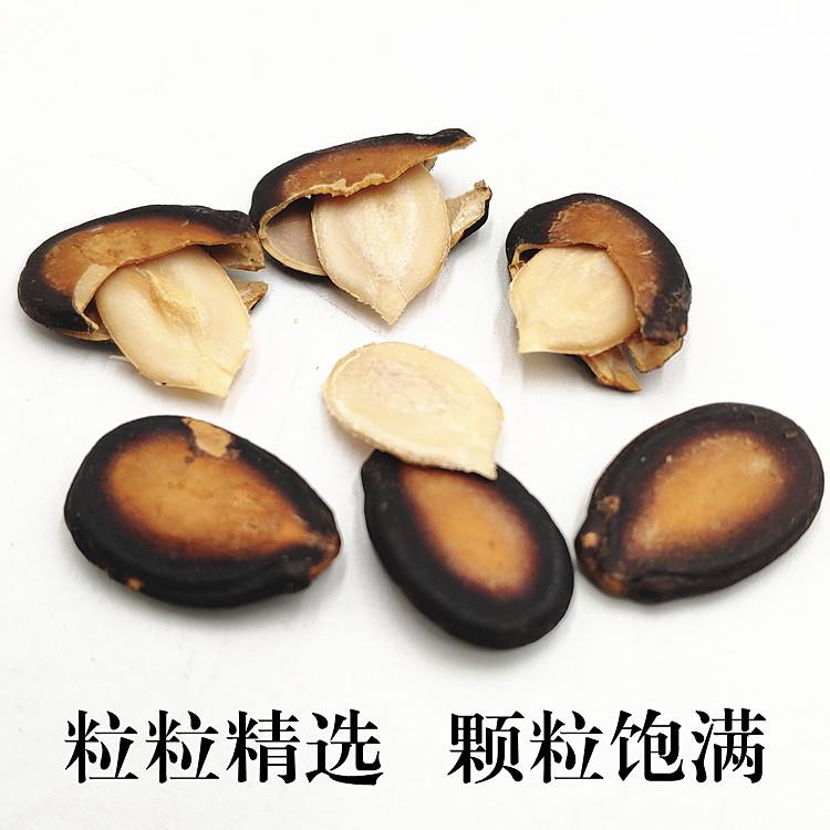 甘肃临夏兰州黑瓜子熟西瓜子吊瓜子五香味青海特产大板瓜子2斤装