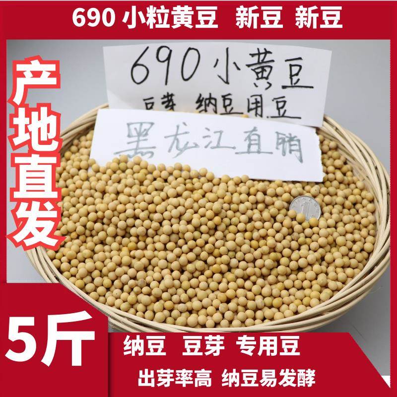 向南飞新粮极小粒690黄豆生髪豆芽纳豆专用小黄金黄豆浆5斤