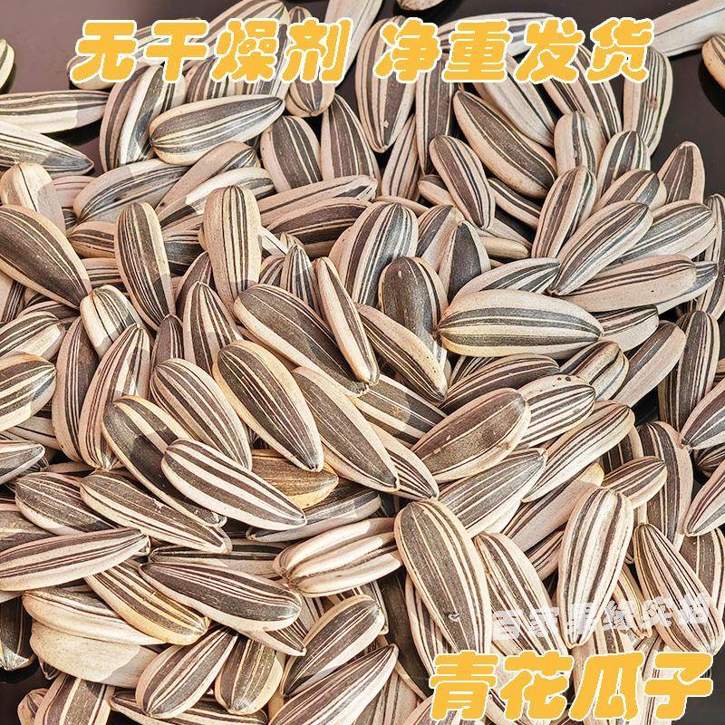 青花瓜子原味葵花籽熟五香味炒货休闲零食坚果葵花籽休闲零食小吃