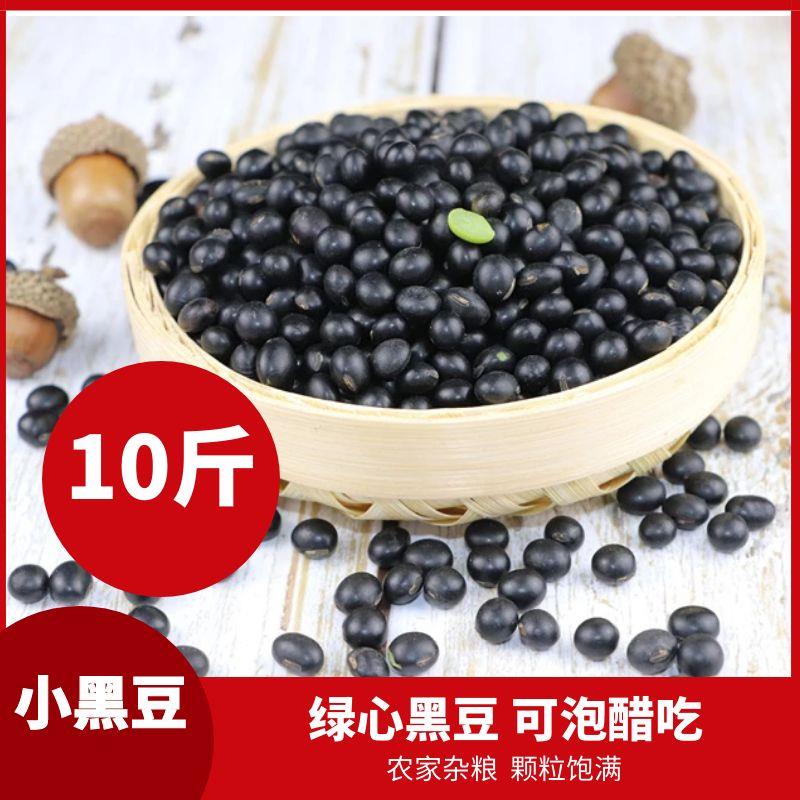 东北黑豆农家自产绿心芯黑豆豆浆五谷杂粮生黑小豆10斤