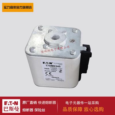 熔断器170M6345 170M6346 170M6347 170M6348 170M6349 170M3438